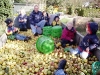 apfel6.jpg