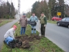 bl-zwiebel-02_04.JPG