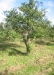 atag06_3.jpg