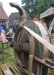 atag06_47.jpg