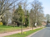 narzissen3.jpg