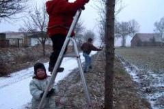 Obstbäume an den Feldwegen wurden geschnitten 2003