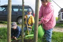 Tag des Baumes 2004