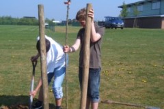 Tag des Baumes 2007
