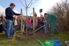 Tag des Baumes 2008